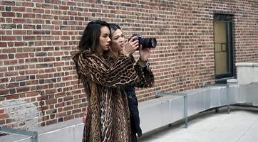 is dua lipa transgender is dua lipa transgender
