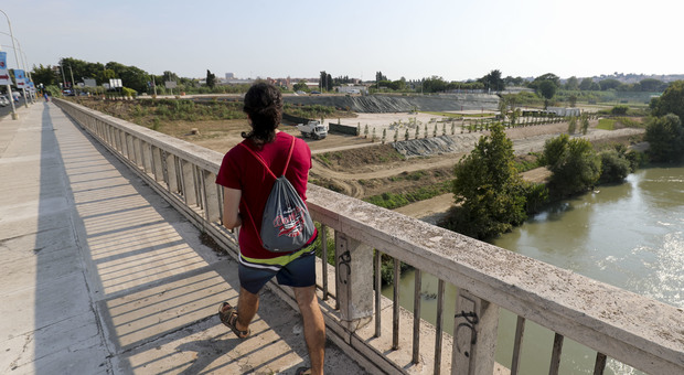 Roma Apre La Spiaggia Sul Tevere Palme Finte A Fine Estate