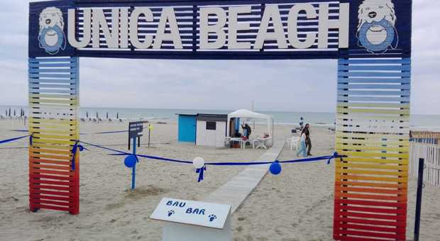 Cani In Spiaggia Via Libera Del Tar I Comuni Non Possono